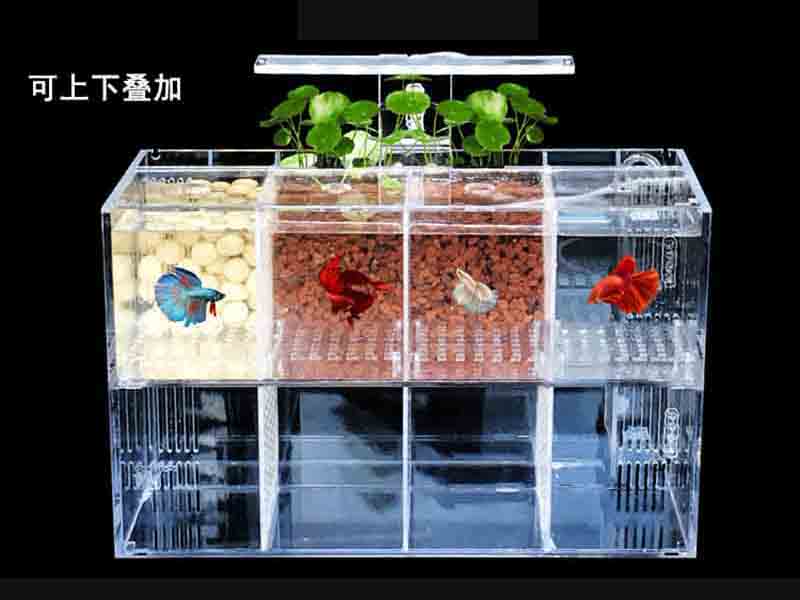 長(zhǎng)方形多格斗魚亞克力魚缸廠家定制