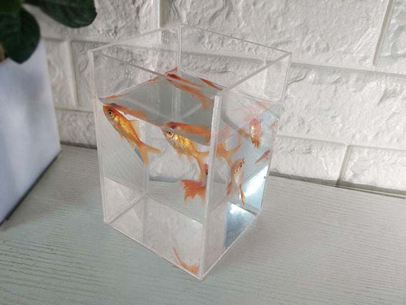 長(zhǎng)方形亞克力小魚缸廠家定制